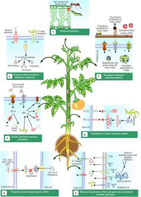 Multifaceted Interactions Between Endophytes and Plant: Developments and Prospects